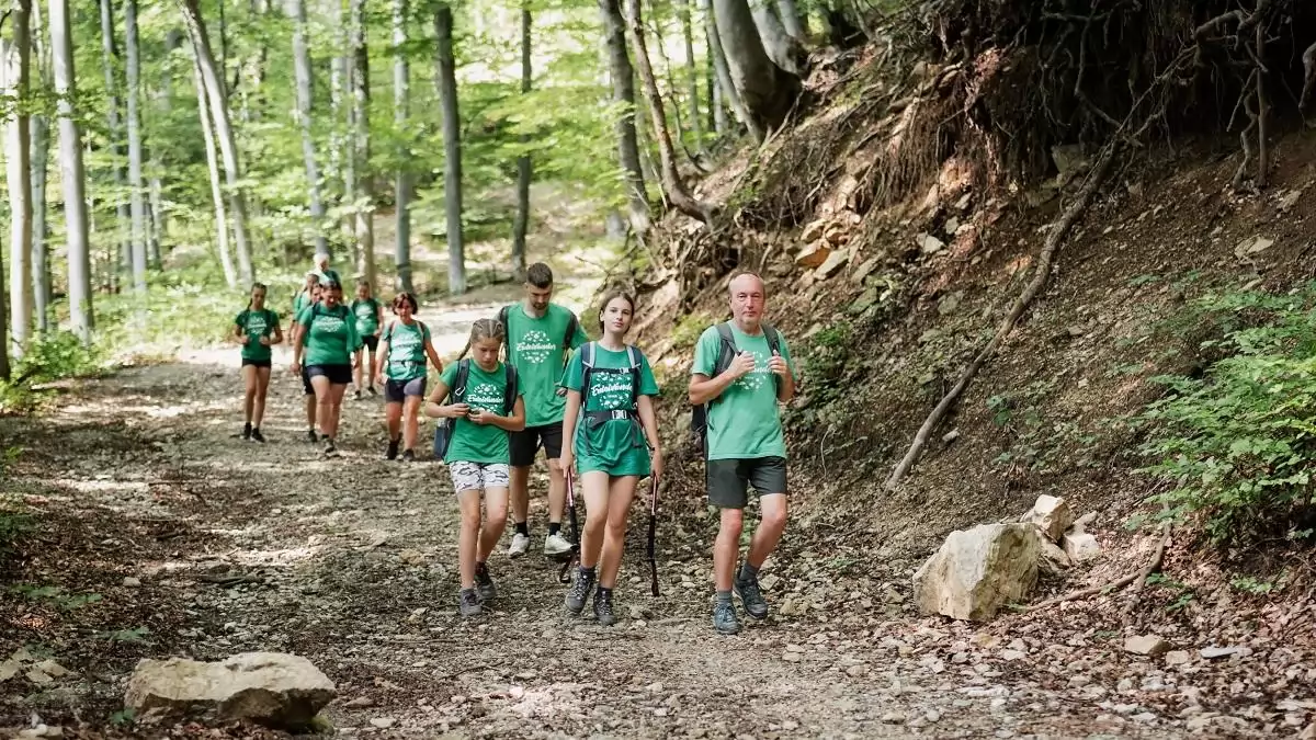 Erdei vándorok a magyar erdőkben