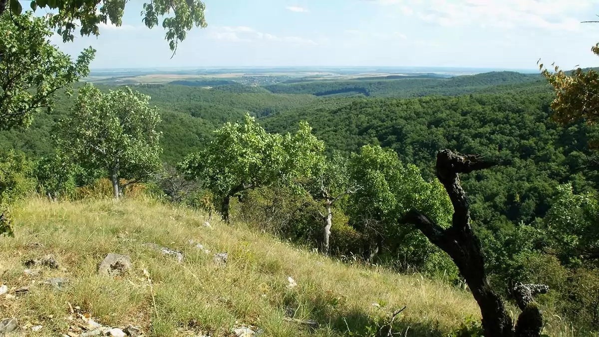 Nem minden elterjedési modell jó, ami annak látszik – világítottak rá a HUN-REN ÖK kutatói