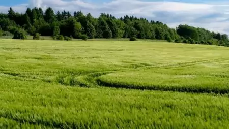 Újra érték a minőség – Diskurzus Bene Zoltánnal, a Karintia Kft. vezetőjével