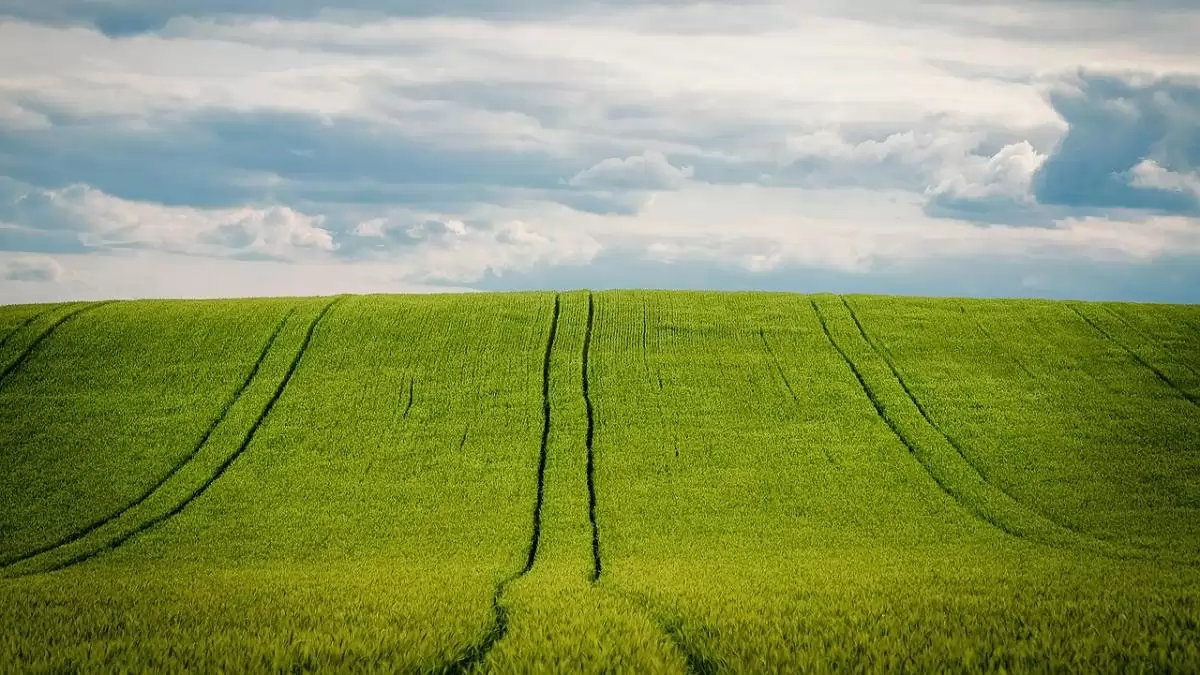 Az EU biogazdálkodása: 16,9 millió hektár 2022-ben