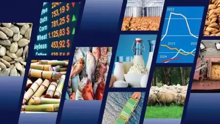 A FAO stabil kilátásokat jósol a legtöbb élelmiszerpiacon 2024/25-re