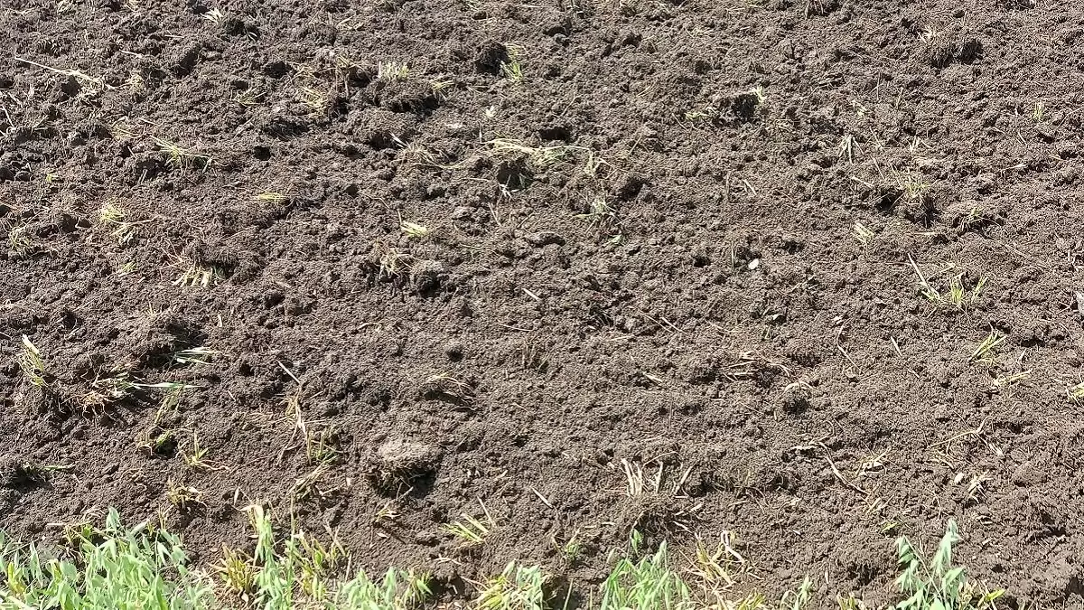 Elérhetővé válnak a magyarországi talajok állapotát szemléltető a vizsgálati eredmények