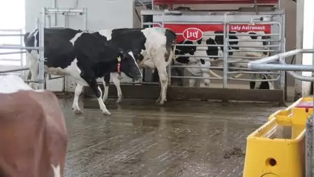 Csúcstechnológia a MILKMEN-nél