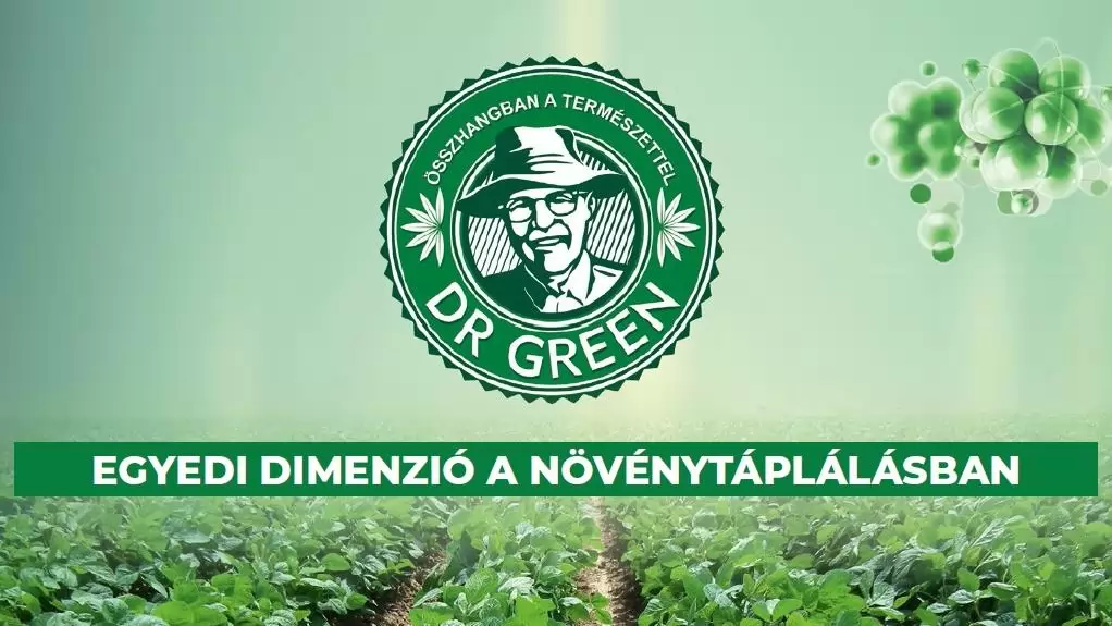 DR GREEN válaszai a szója lombtrágyázásának kérdéseire 