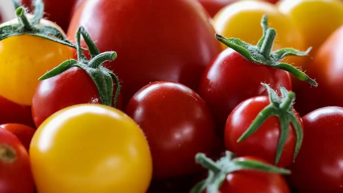Zöldség-gyümölcs ágazati bulletint készített a FruitVeb és a NAK
