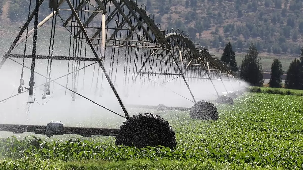 Soha ennyi öntözésfejlesztési termelői beruházás nem kapott támogatást