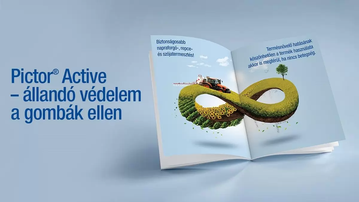 Megújul a BASF napraforgó gombaölőszer ajánlata. Pictor® Active