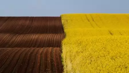 REPCE vetés margójára….avagy Mi a közös a két képen?