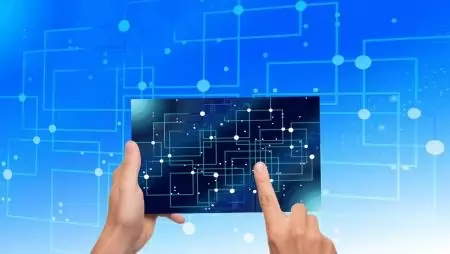 Digitális forradalom a nyúlhústermelésben 