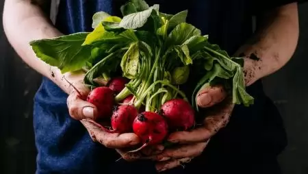 Meghatározó lehet az élelmiszerfelesleg mentése a mezőgazdaságból