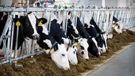 Megújul a gyakorlati képzés a Magyar Agrár- és Élettudományi Egyetemen