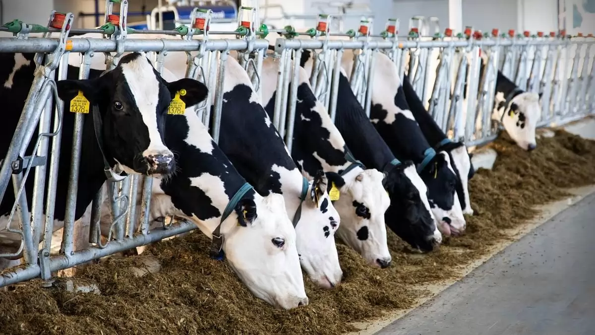 Megújul a gyakorlati képzés a Magyar Agrár- és Élettudományi Egyetemen