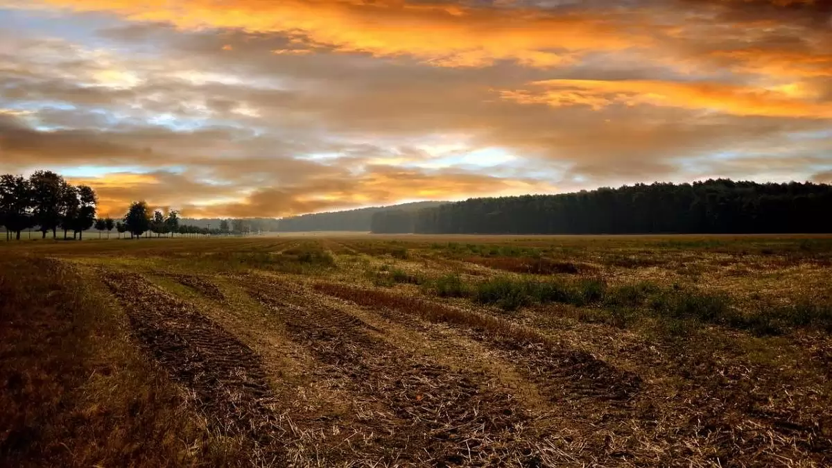 Földügyi kérdésekben is segítséget nyújt tagjainak a NAK