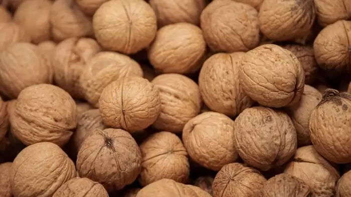 Az intenzív termesztéstechnológiával ismét felfelé ívelhet a hazai dió piaca