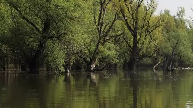 Árvíz és természet – a védett terület jelentős része víz alá kerül