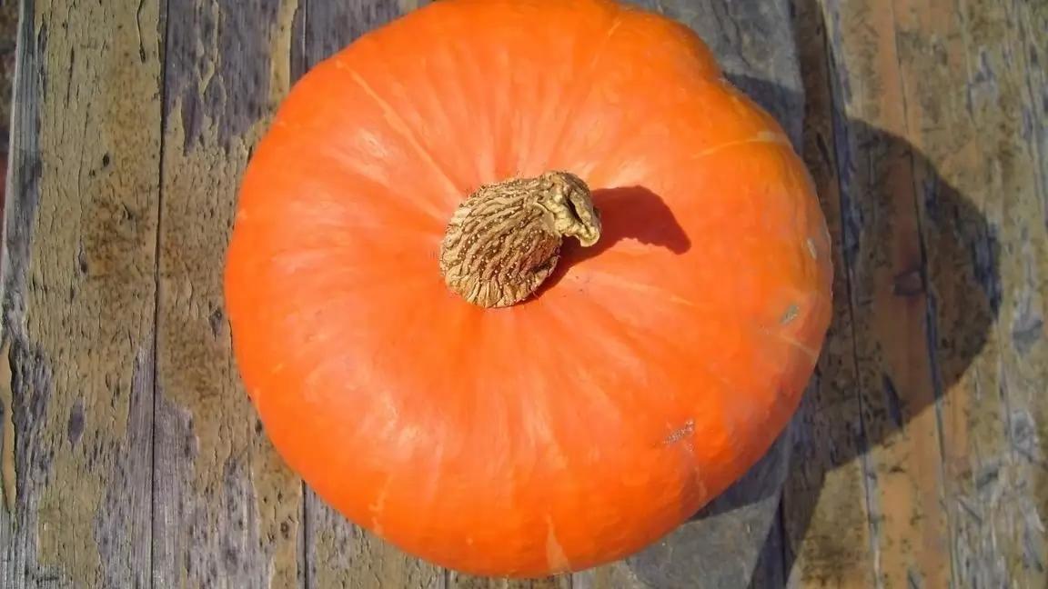Hokkaido tök: Különlegesség az őszi szezonban