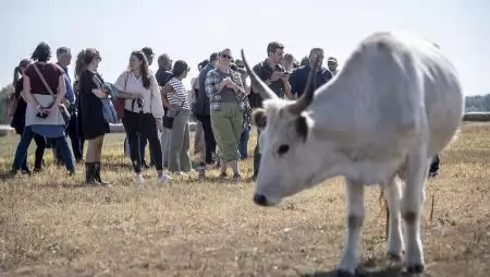 A biogazdálkodás bevált megoldásokat kínál a fenntartható agrár-élelmiszeripari átállásban 