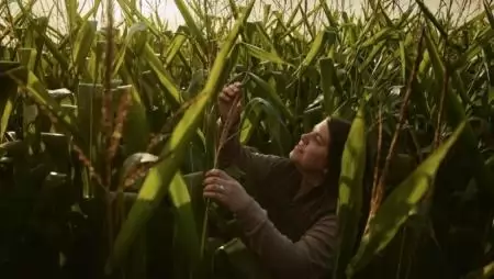 A mezőgazdaságban dolgozó nők szerepvállalása előmozdíthatja az agrárium fenntartható fejlődését
