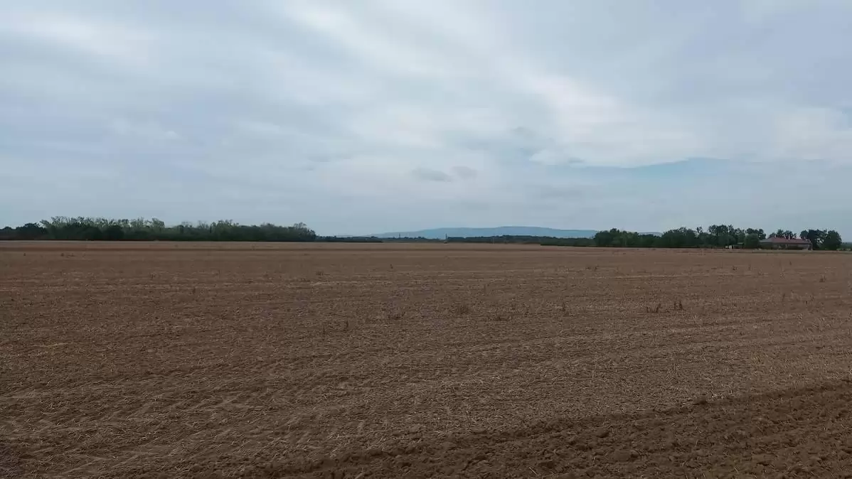 Talajvédelmi kérdőív – a legnagyobb érdeklődést kiváltó témák