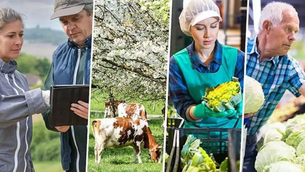 Ilyen lesz az agrárium jövője