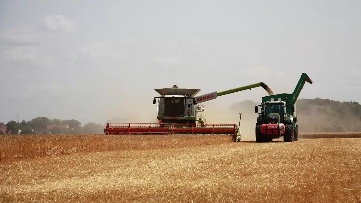 Dinamikusan nőtt a magyar agrárexport az év első felében