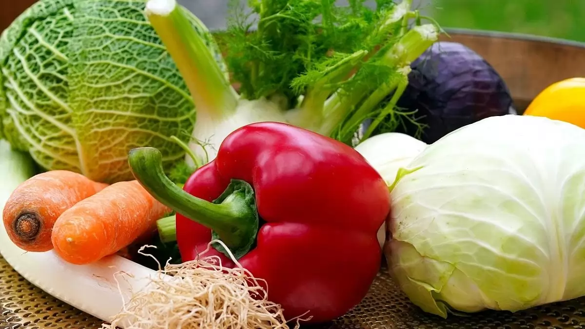 Véget ért a Biokultúra napja ‒ minden eddiginél nagyobb támogatásokról beszélt az államtitkár