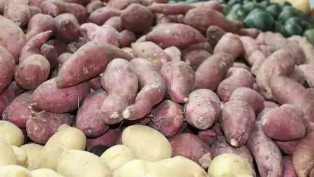 Bioforradalmat sürgetnek a szakemberek a közétkeztetésben