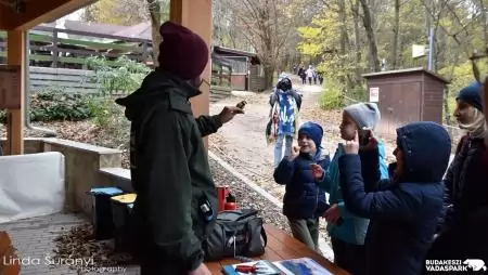 Téli Madárvédelem a Budakeszi Vadasparkban