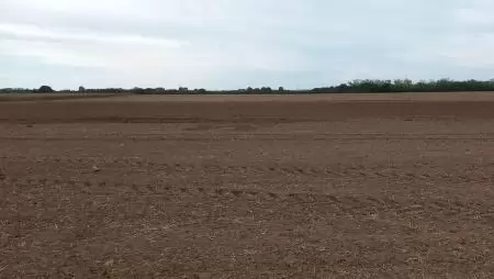 Az őszi vetésű területek felén megtörtént a talaj- előkészítés