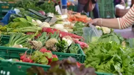 Fókuszban a közvetlen termelői értékesítés erősítése