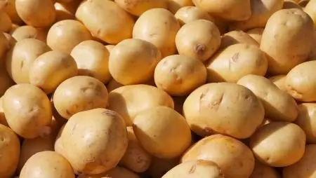 A jó minőséget és a bő termést csak a fémzárolt vetőburgonyák garantálják
