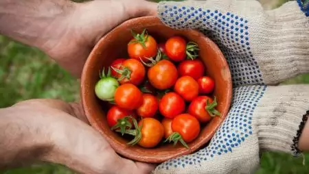 Az AKI és a NAK részt vesz az Európai Bizottság által támogatott carbon farming projektben