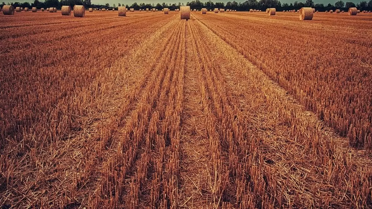 Folytatódik a legkisebb termelők támogatási programja