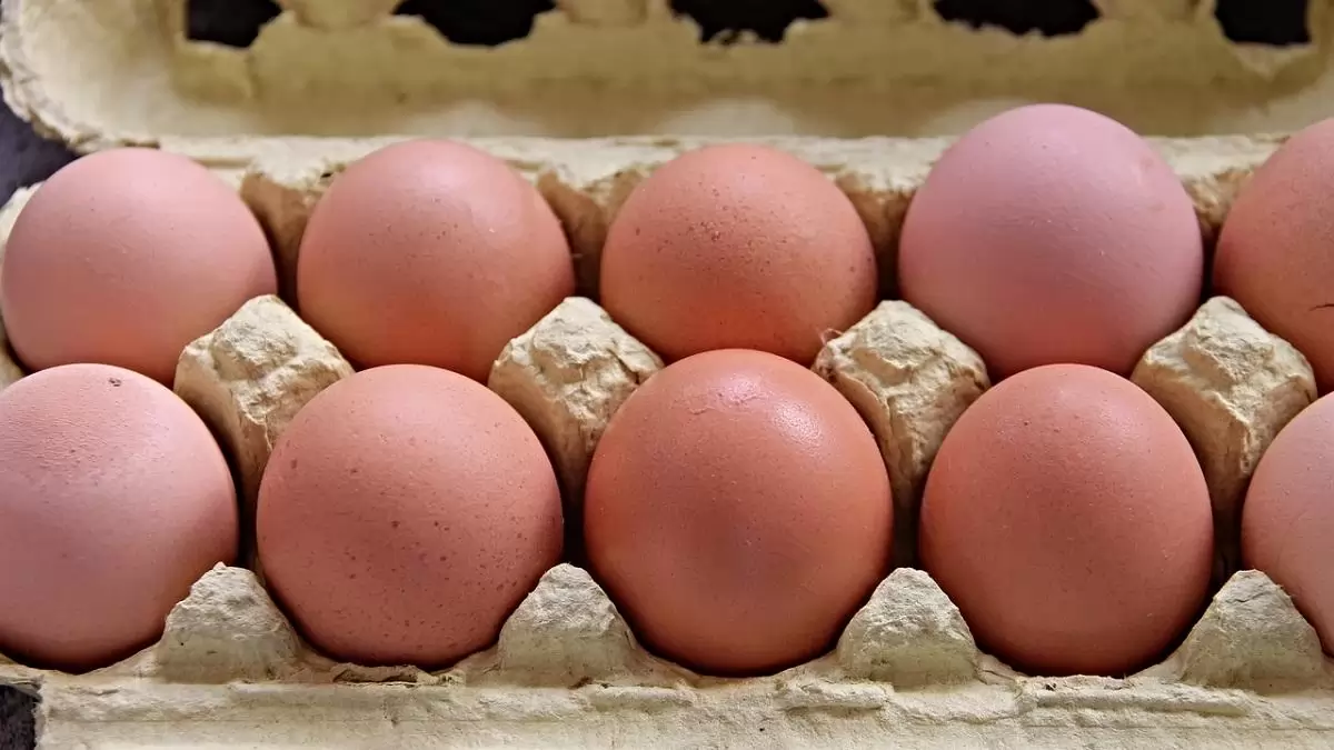 Az L-es tojás ára csökkent a legnagyobb mértékben