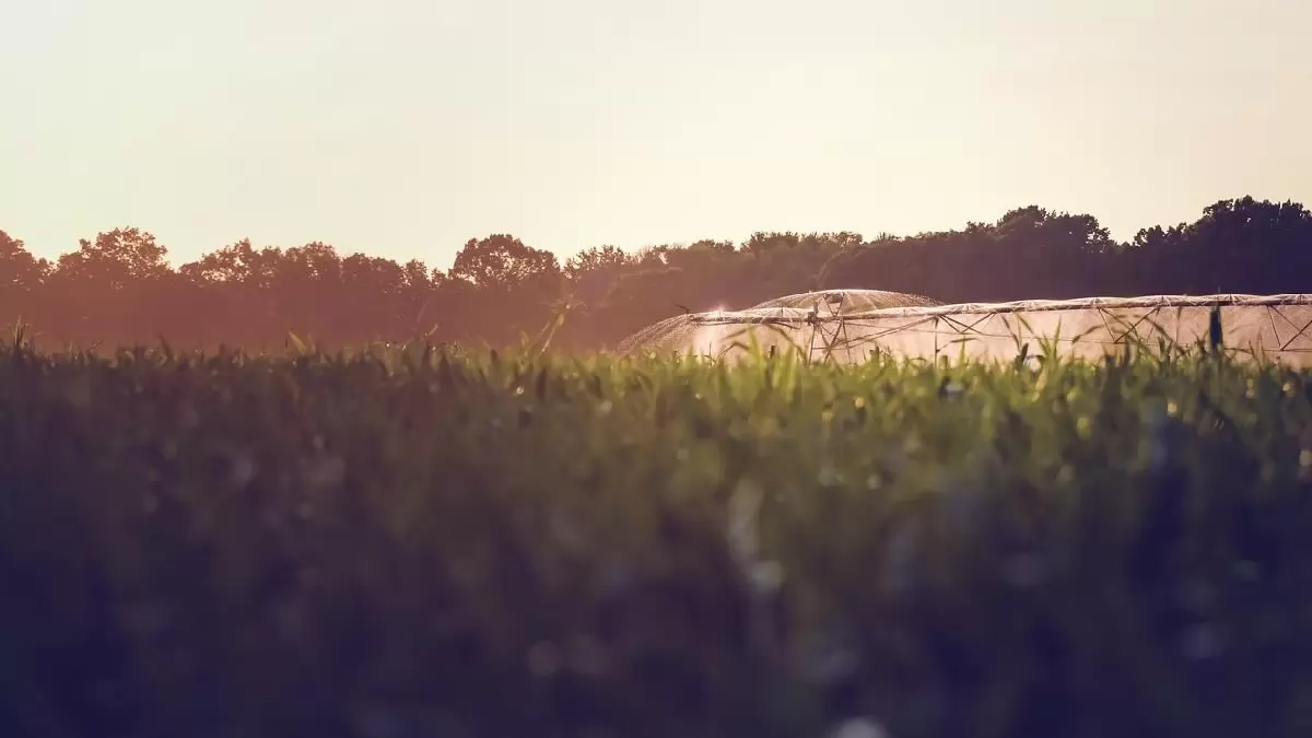 A legfontosabb gyakorlati tippek a nyertes Öntözésfejlesztési pályázathoz!