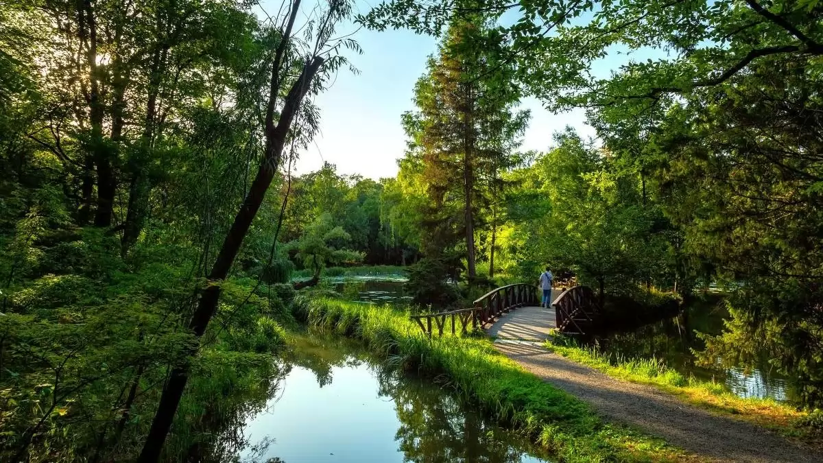 Gigantikus jelentés készült a világ jövőjéről, amelyből kiderül, hogyan menthetjük meg a Földet
