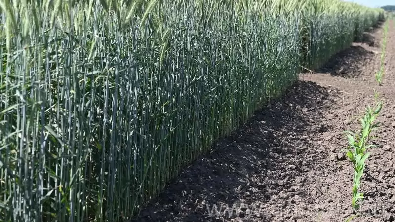 DE MÉK: légy részese a modern mezőgazdaságnak!