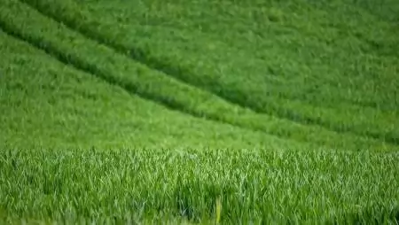 Kihirdetésre kerültek az Agro-Ökológiai Programhoz (AÖP) kapcsolódó terméklisták
