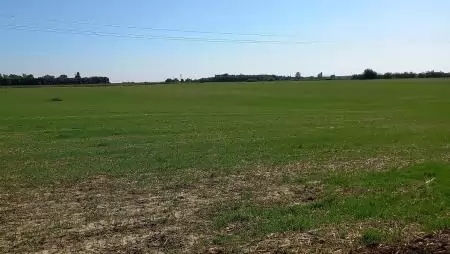 A gazdák és a kistermelők boldogulását segítő jogszabály-módosításokat kezdeményezett a NAK
