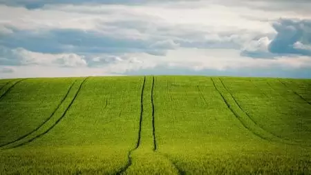 Ezt gondolja az európai közvélemény a közös agrárpolitikáról