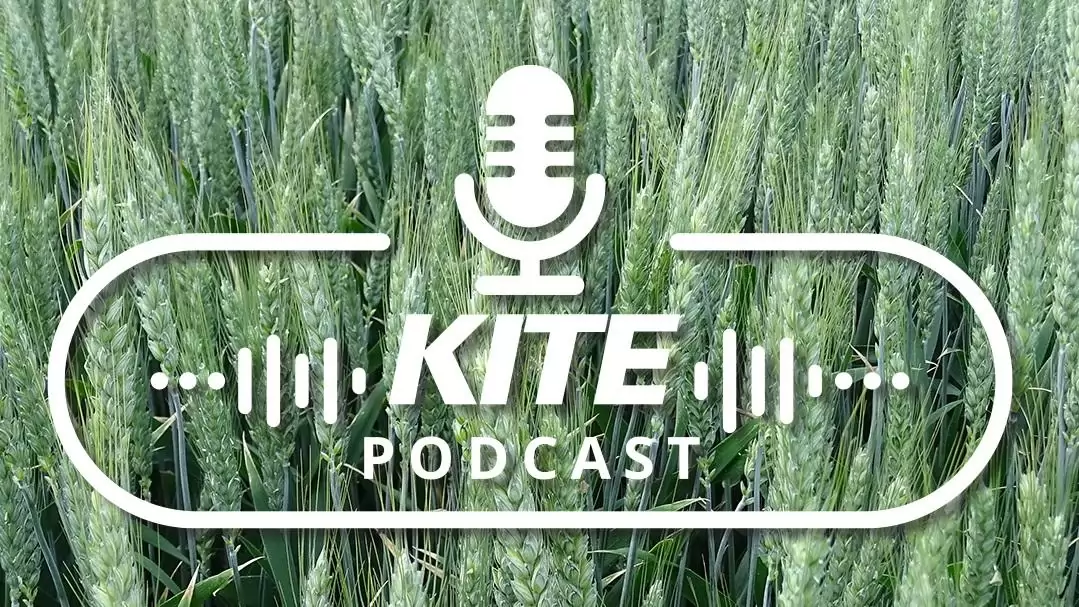 Gabonapiaci trendek: fókuszban az árpa és a búza