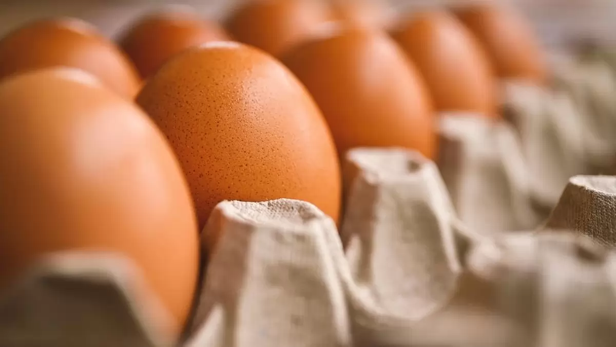 A tojás ára az EU-ban 3, hazánkban 19 százalékkal emelkedett