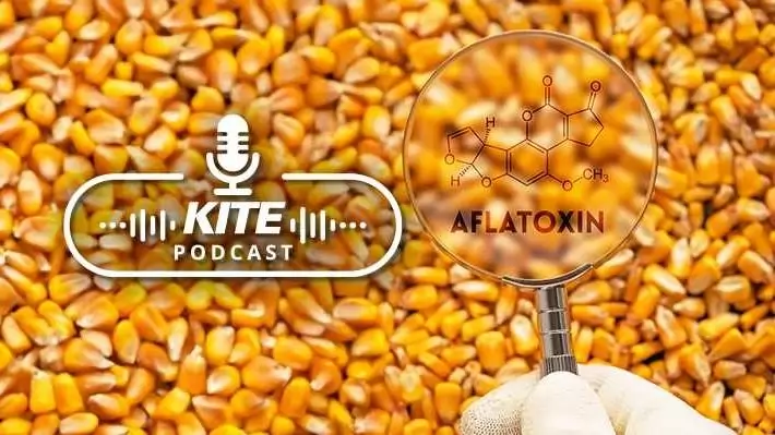 Mikotoxinok a mezőgazdaságban: kihívások és megoldási lehetőségek