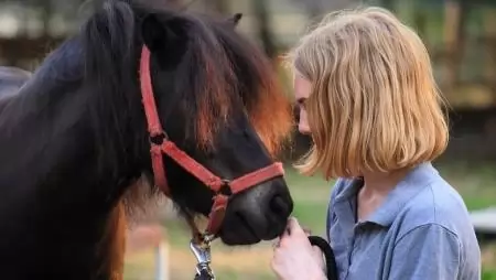 A 21. század gyermekei: kütyü kontra paripa – Lovas fejlesztés: a kert végi sufnitól a terápiáig