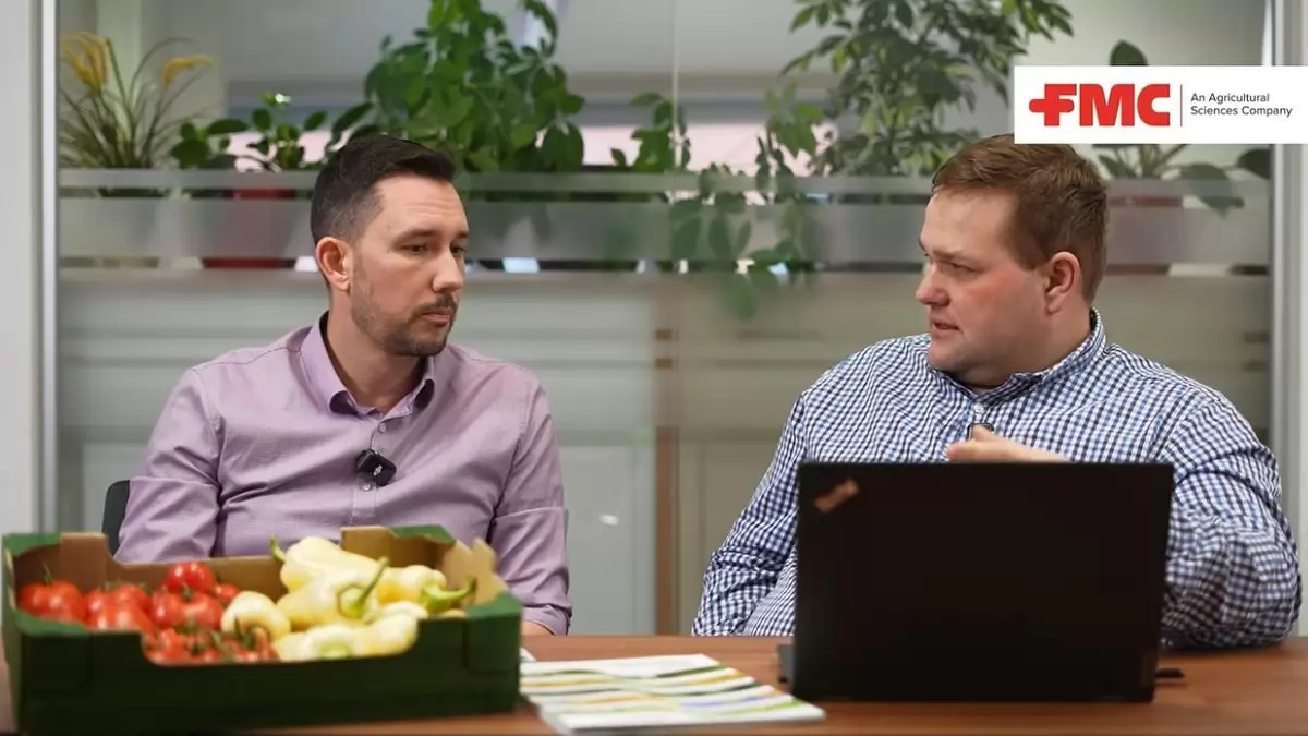 Rovarvédelem másképp, avagy eszmecsere a zöldségtermesztésről