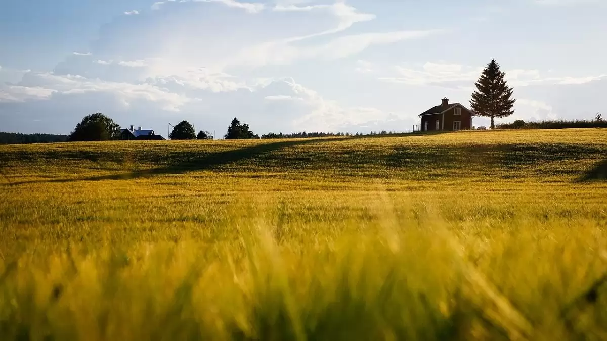 Szerdától lehet pályázni a mezőgazdasági kisüzemek fejlesztésére