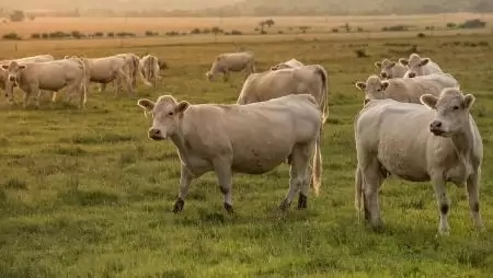 Újabb mérföldkőhöz érkeznek az Agro-ökológiai Program kifizetései