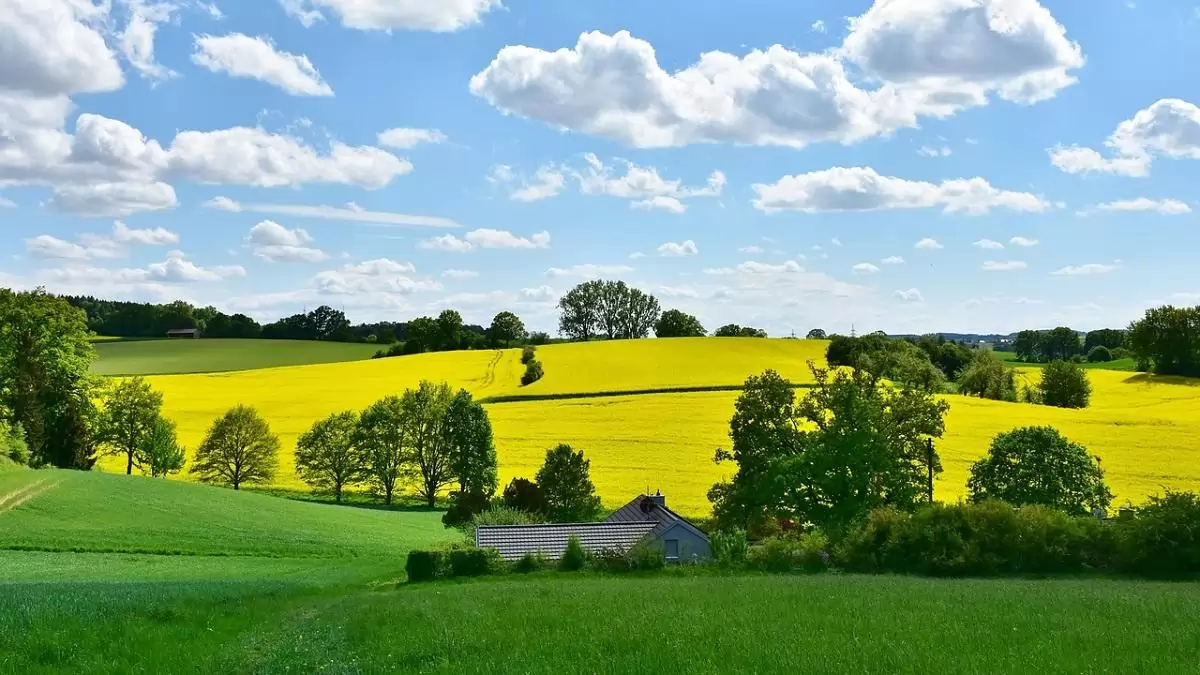 Ütemesen halad a részkifizetések teljesítése az Agro-ökológiai Programban