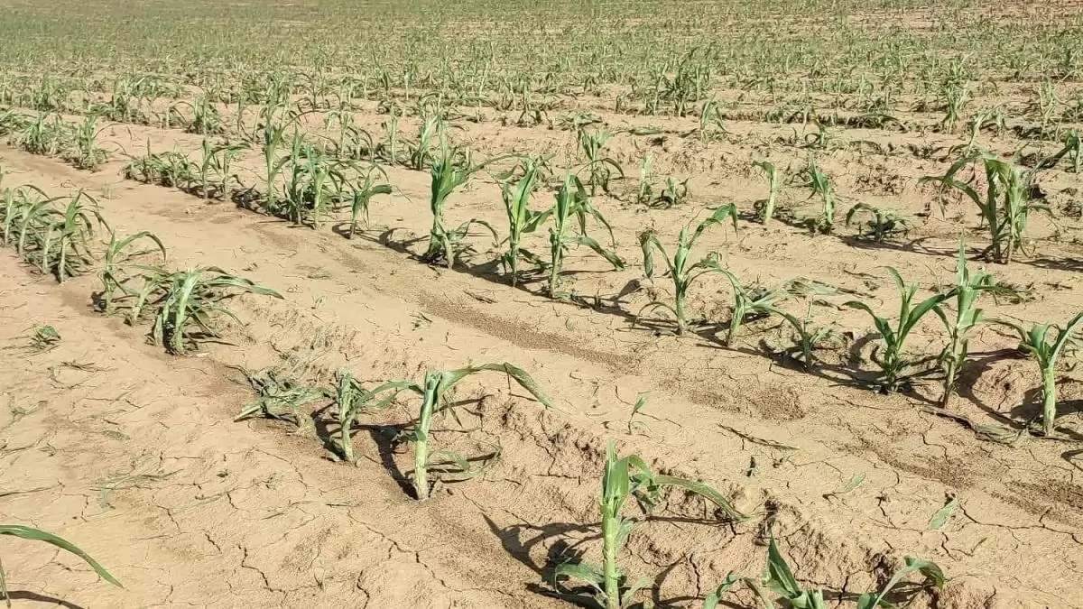 Kezdődik a viharszezon