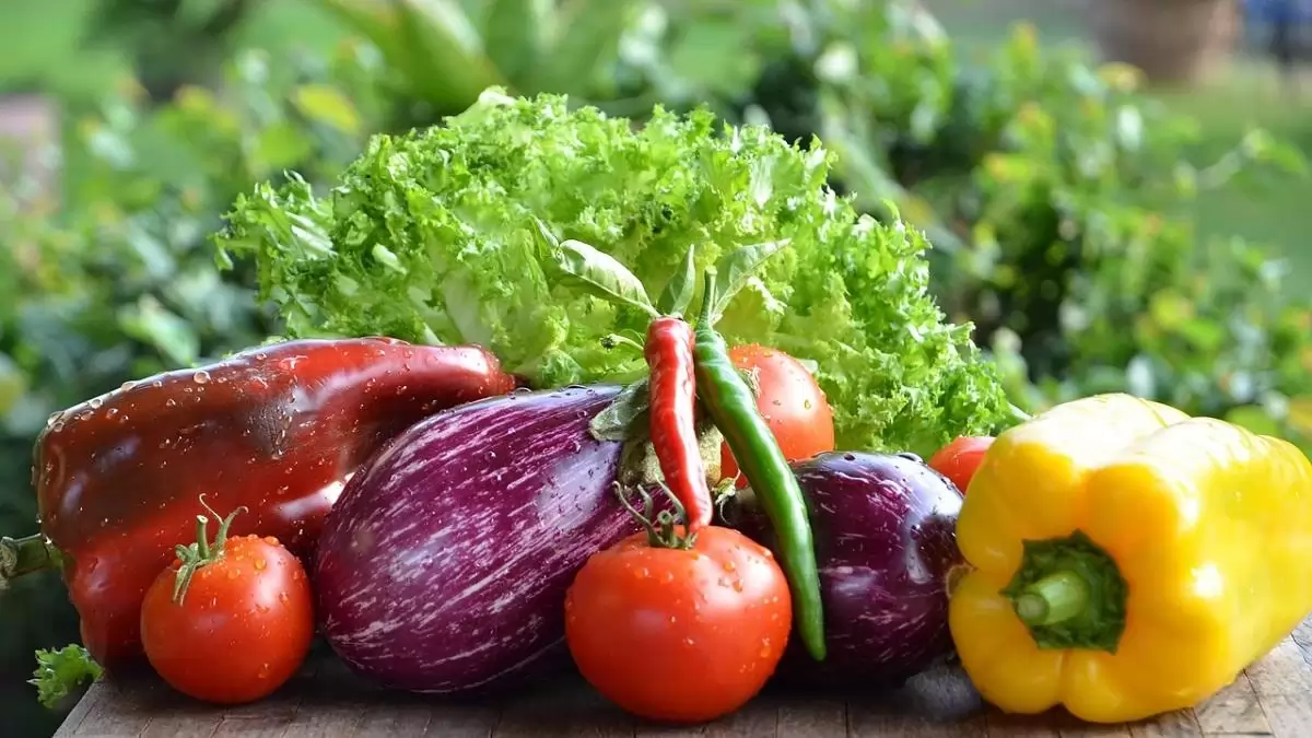 Akár 35 millió forint a kertészeteknek – Áprilistól beadható a pályázat technológiai fejlesztésekre